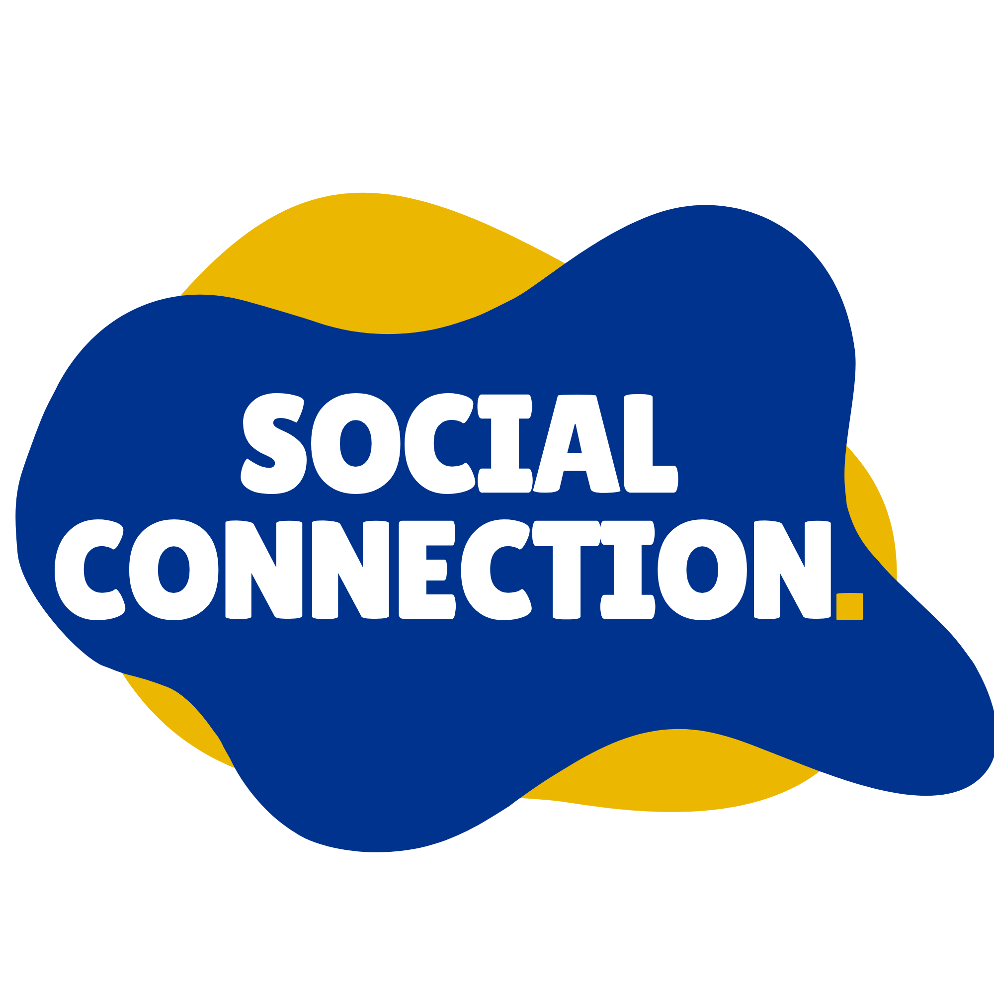 Social Connection